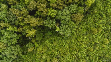 View of drone / aerial view