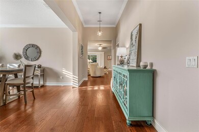 30431 Gidran Terrace, Mount Dora, FL 32757 - photo 6