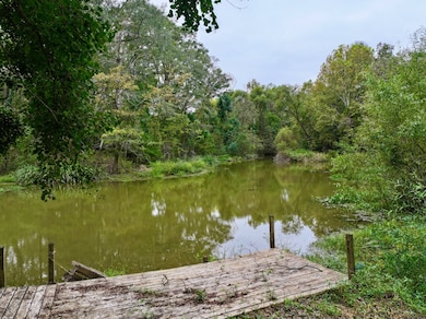 1785 International Paper Rd, Coffeeville, AL 36524 - photo 3