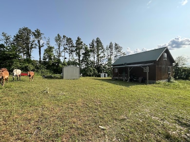 15047 Old West Eminence Rd, Eminence, MO 65466 - photo 4