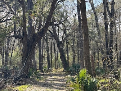 0 Dressen Rd unit 22893184, Hardeeville, SC 29927 - photo 5