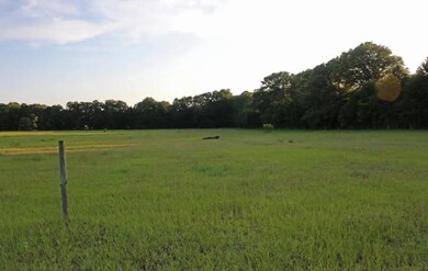 00 Poinsettia Rd unit A, Wagener, SC 29164 - photo 4