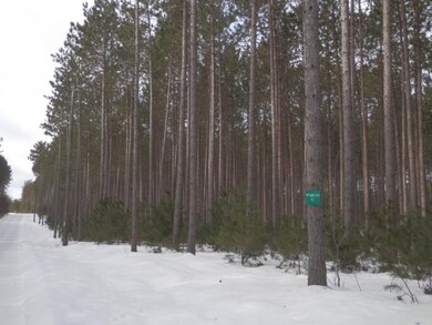 Looking West down property