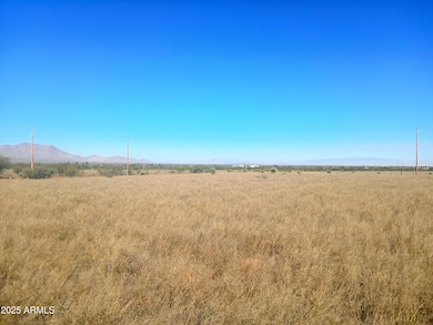 TBD Justin St unit 9, Pearce, AZ 85625 - photo 5