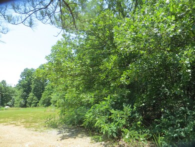 000 Bush Run, Mammoth Spring, AR 72554 - photo 6