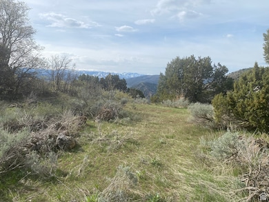 7 Bear River unit 7, Preston, ID 83263 - photo 3