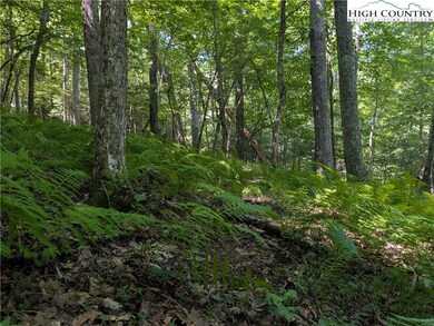 Tbd Sharon Sweeney Rd, Crumpler, NC 28617 - photo 5