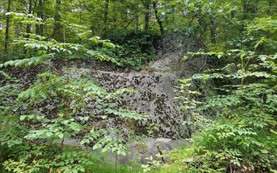 Additional View
