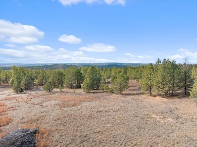 26867 Stage unit Road, Hot Springs, SD 57747 - photo 3