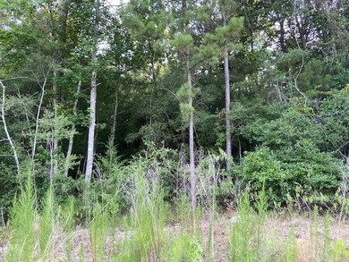 228 Windmill Rd, New Waverly, TX 77358 - photo 5