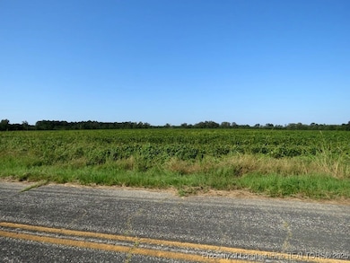 TBD Cowpen Swamp Rd, Fairmont, NC 28340 - photo 3