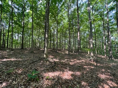 10.97 AC H R Huffer Rd, Allons, TN 38541 - photo 5