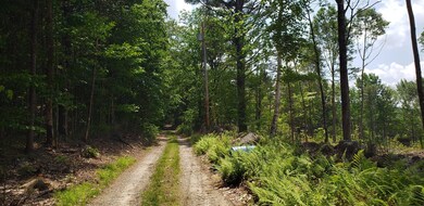 367 Glass Hill Rd, Grafton, NH 03240 - photo 7