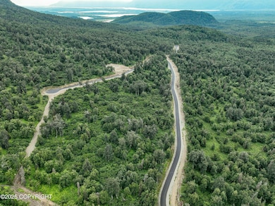 366 N Hale Cir, Butte, AK 99645 - photo 2