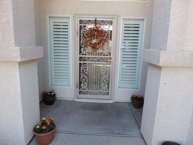 Front Door Security Screen Door