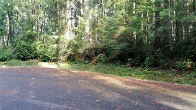 8821 129th Avenue Ct unit AI, Anderson Island, WA 98303 - photo 4