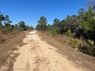 446 Leahy Ave, Lake Placid, FL 33852 - photo 2