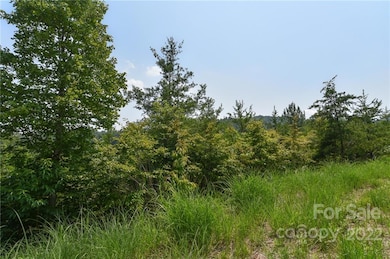 113 Chardonnay Ave unit 10, Marshall, NC 28753 - photo 3