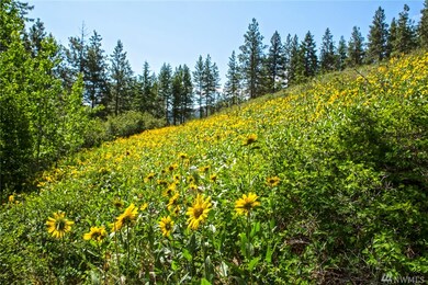 70 Whitebark Ln, Twisp, WA 98856 - photo 5