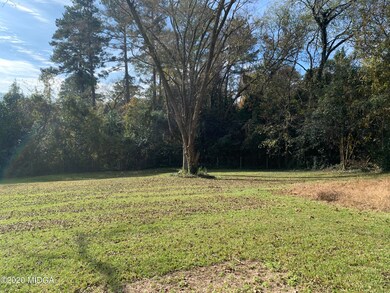 Windsor back yard 2