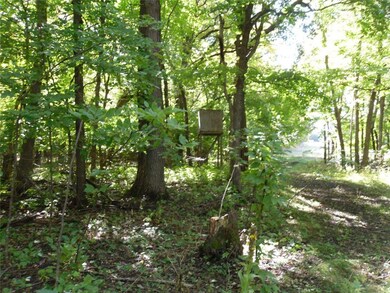Deer Stand - Woods