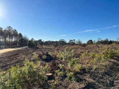 --1 Irving Rd, Batesburg-Leesville, SC 29006 - photo 3