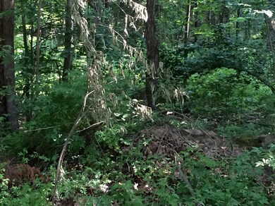 0 N Campbell unit 464059, Laporte, IN 46350 - photo 3