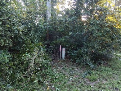 XX Appaloosa Rd, Crawfordville, FL 32327 - photo 3