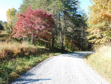 5.88 Grassland Dr, Sandy Level, VA 24161 - photo 2