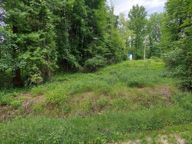 Cleared Area at Power Easment