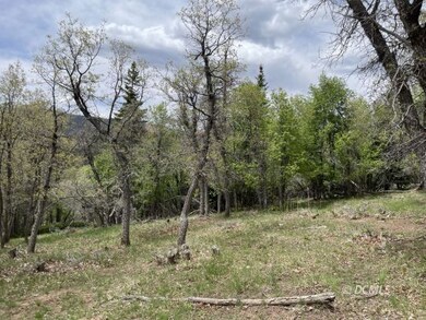 Early spring