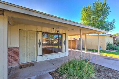 307 N Cholla-7