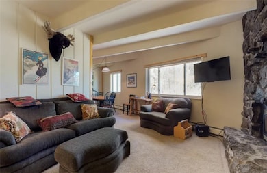 370 E La Bonte St unit 101, Dillon, CO 80435 - photo 3