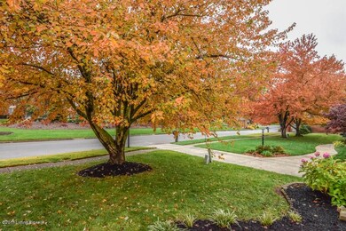 002_View from Front Porch
