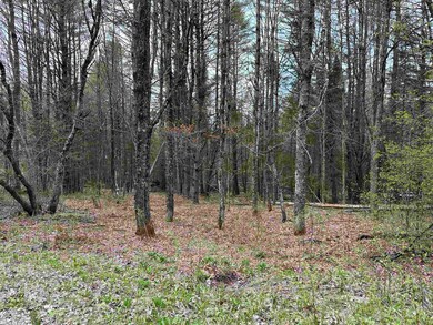 00 Breezy Hill Rd, Lisbon, NH 03585 - photo 2