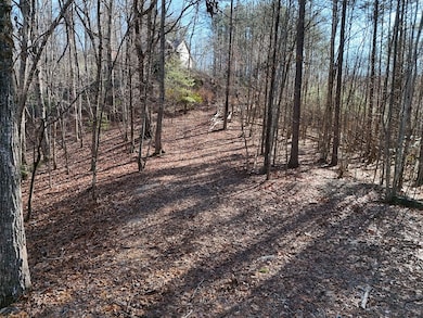 Tract D Carriage Ln, Blairsville, GA 30512 - photo 2