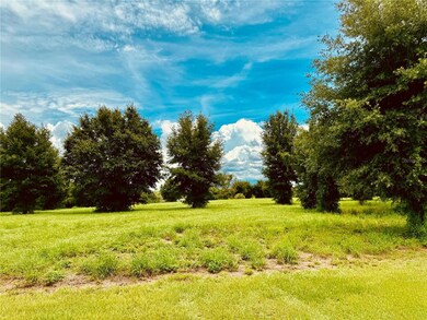 0 Fairview Heights Rd unit MFRT3538084, Zephyrhills, FL 33541 - photo 6