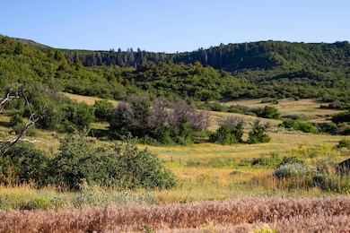 28429 H 4 Rd, Cahone, CO 81320 - photo 6