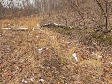 Lot 1 States Fork Rd, Metz, WV 26585 - photo 3