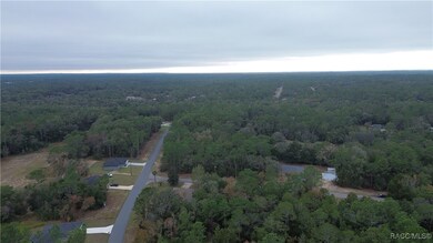 9700 N Langdon Rd, Citrus Springs, FL 34434 - photo 7