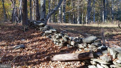 687 Scrabble Rd, Castleton, VA 22716 - photo 5