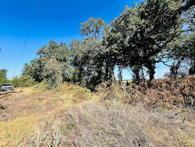 County Road 428, Cross Plains, TX 76443 - photo 3