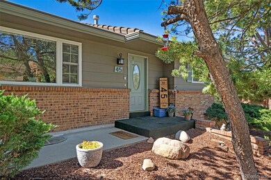 45 Gold Coin Ct, Colorado Springs, CO 80919 - photo 4