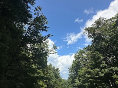 257 Andes Ridge, Ellijay, GA 30436 - photo 2