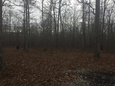 Private wooded lot