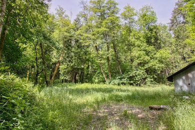 456 Garner Rd, Cave Junction, OR 97523 - photo 2