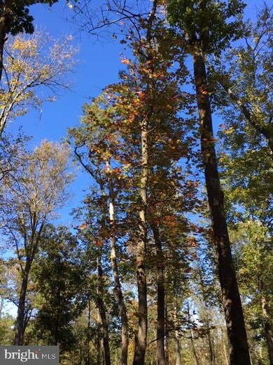 0 Pine Mountain Rd, Lock Haven, PA 17745 - photo 7