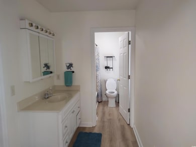 Full bathroom with wood finished floors, vanity, b