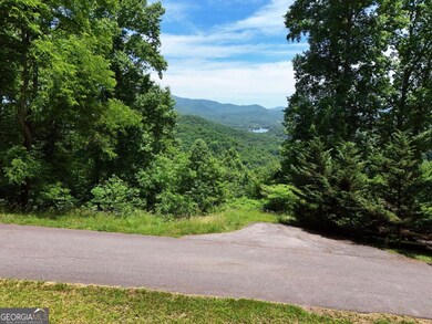 Lot 10 Hidden Summit Rd unit 10, Hiawassee, GA 30546 - photo 7