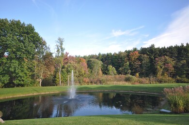 Pond